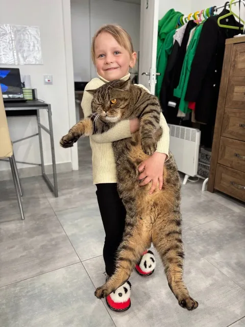 Заняття у Family Club